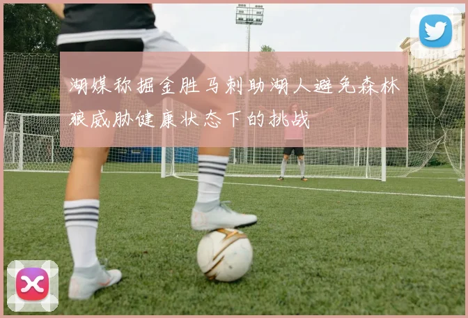 湖媒称掘金胜马刺助湖人避免森林狼威胁健康状态下的挑战