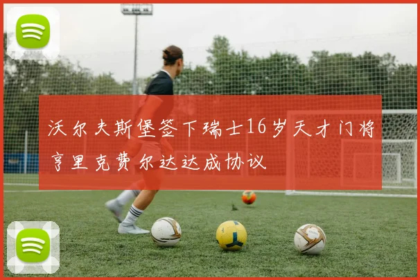 沃尔夫斯堡签下瑞士16岁天才门将亨里克费尔达达成协议
