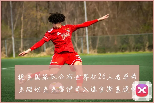 捷克国家队公布世界杯26人名单希克绍切克克雷伊奇入选金斯基遗憾落选